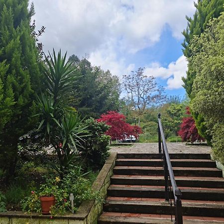 Posada Las Mozas Del Agua De Riocorvo Bagian luar foto